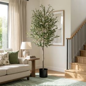 6FT Artificial Olive Tree in Black Plastic Pot, 1pc/set (Option: Green Leaves)