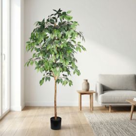 6FT Artificial Ficus Tree with Natural Trunk in Black Plastic Pot for Indoor Home Office Decor, 1pc/set (Option: Green Leaves)